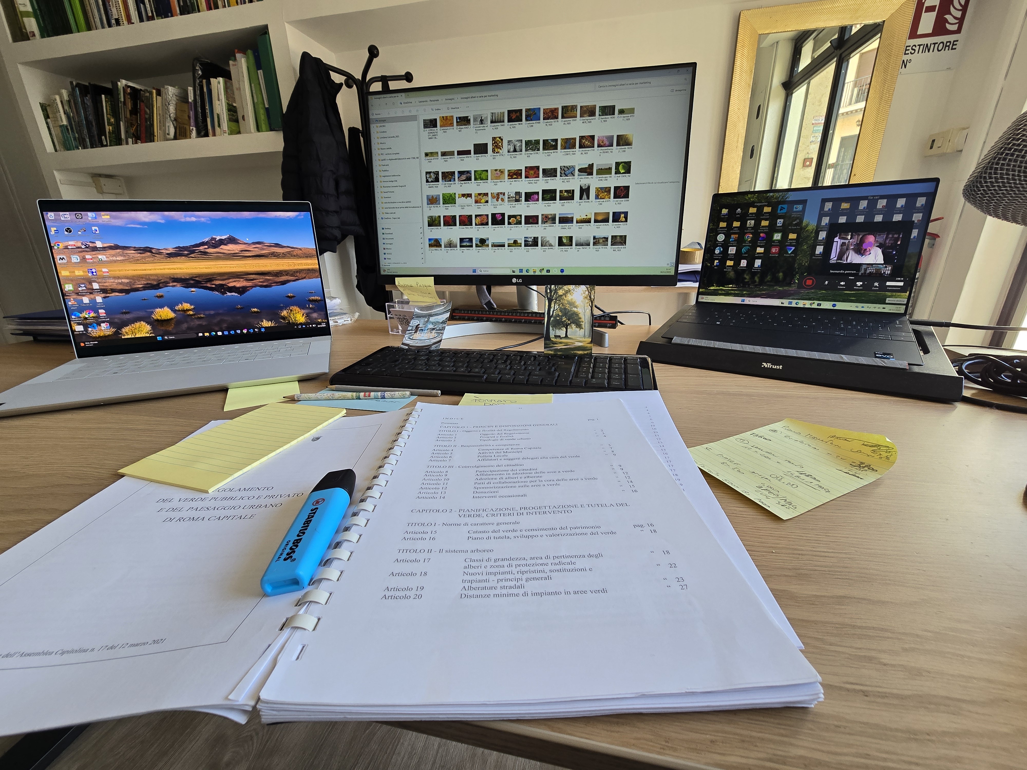 Bilancio Arboreo e relazione tecnica