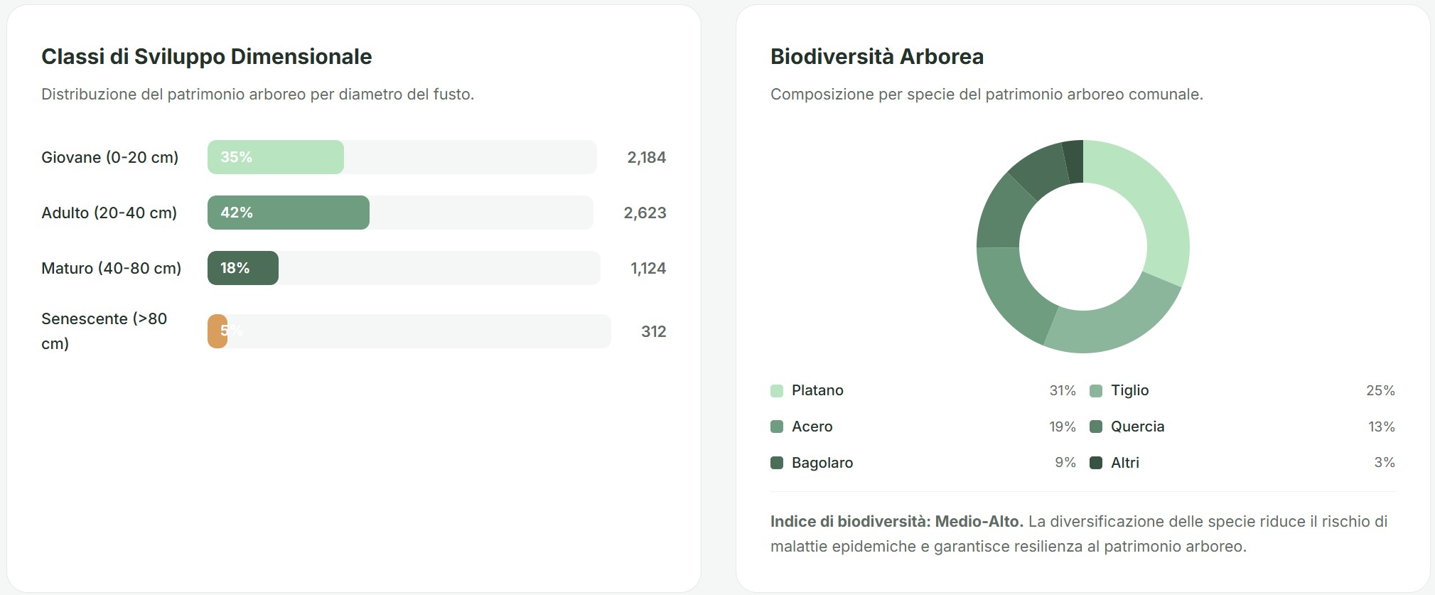 Portale pubblico del Bilancio Arboreo